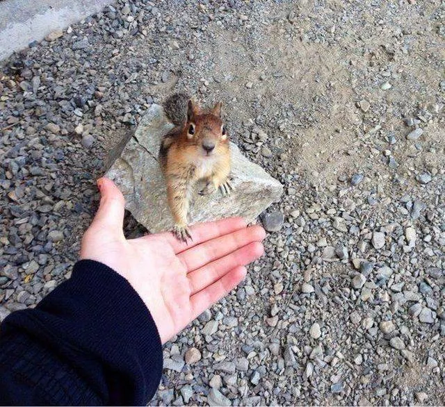 Top des photos les plus impressionnantes - #6 