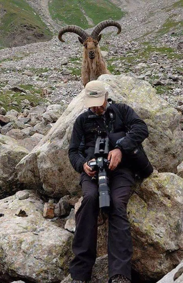 Top des photos les plus impressionnantes - #65 