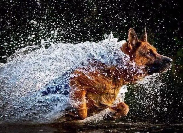 Top des photos les plus impressionnantes - #69 