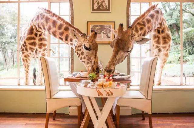 Top des photos les plus impressionnantes - #74 