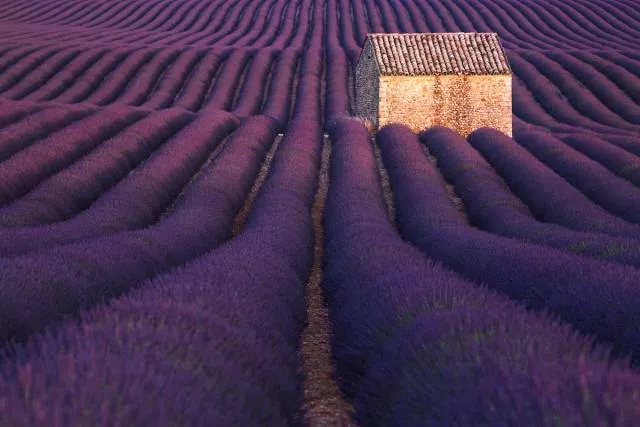 Top des photos les plus impressionnantes - #76 