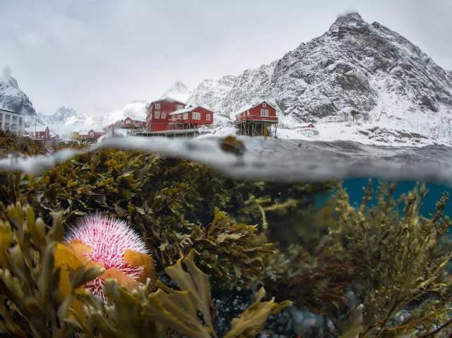 Top des photos les plus impressionnantes - #77 
