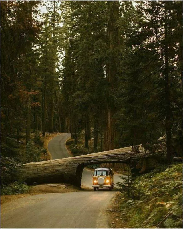 Top of the most impressive photos - #9 