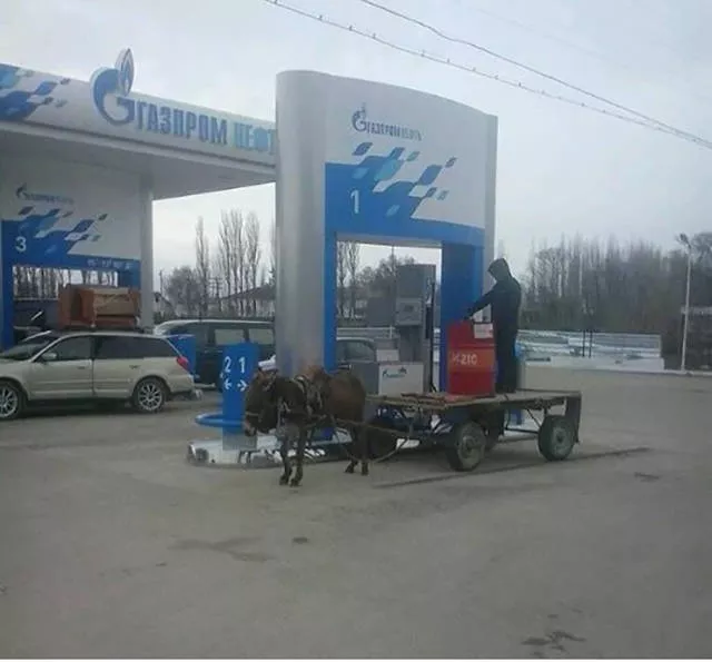 Picdump 6 - #36 