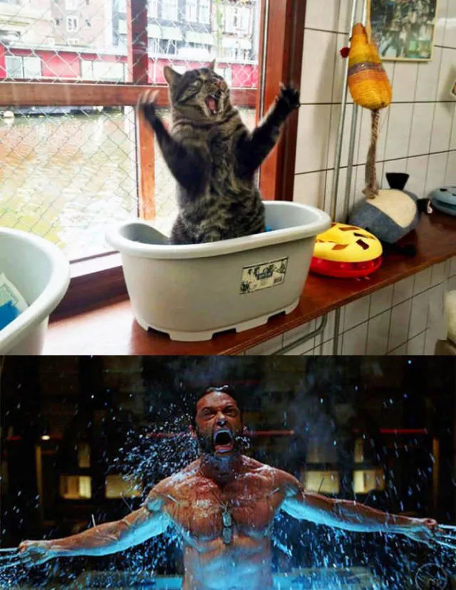Picdump 6 - #4 