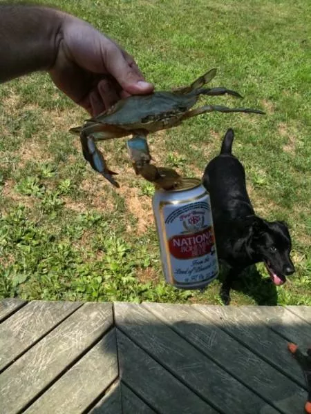 Picdump 6 - #41 