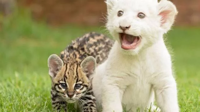 Picdump 6 - #50 