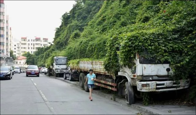Picdump 6 - #72 