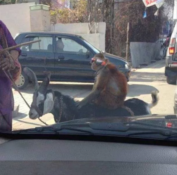 Picdump 6 - #83 