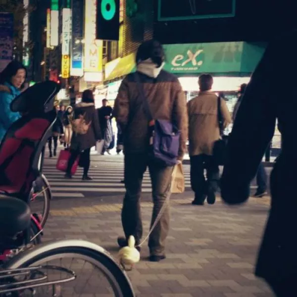 It happens only in asia - #31 