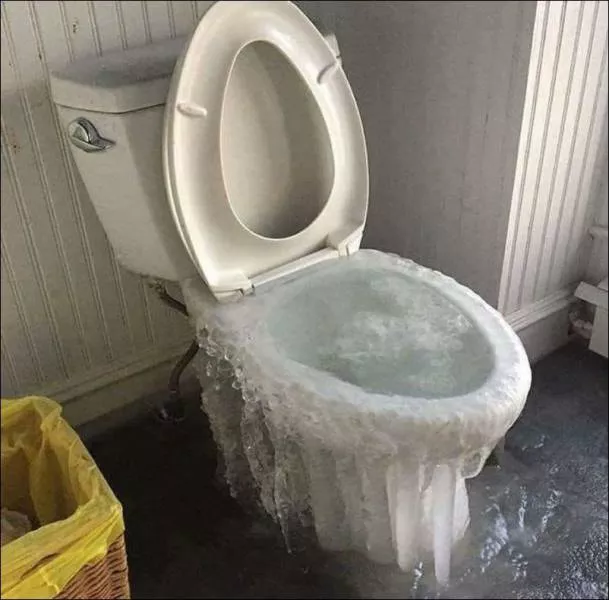 Picdump 224 - #17 