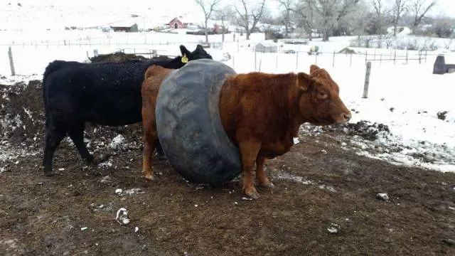 Picdump 224 - #20 
