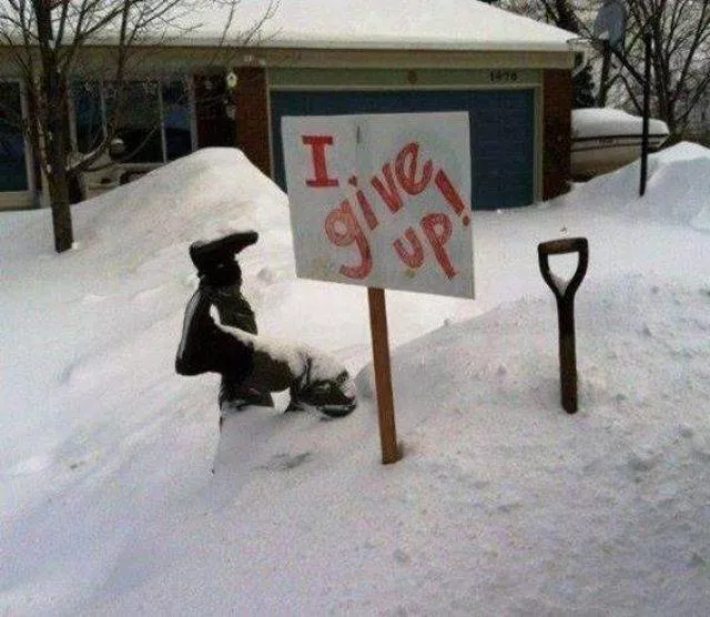Picdump 224