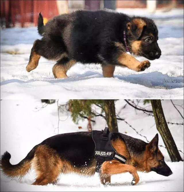 Picdump 224 - #24 