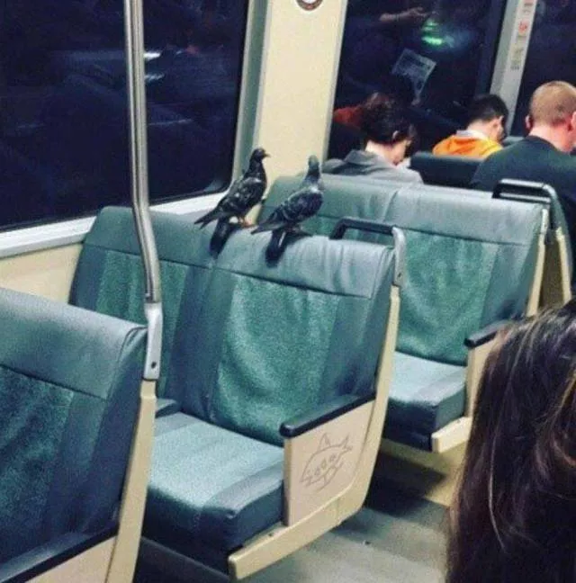 Picdump 224 - #49 