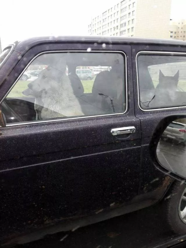 Picdump 224 - #84 