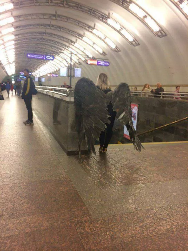 Picdump 224 - #88 