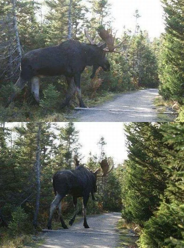 Picdump 224 - #92 