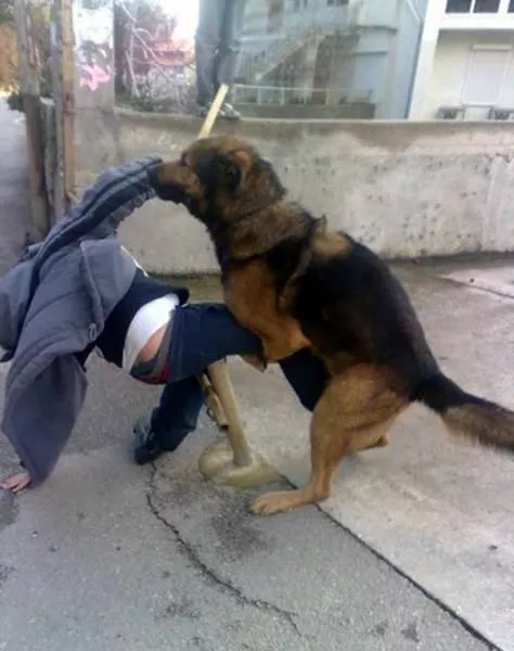 Successful teamwork in action - #11 