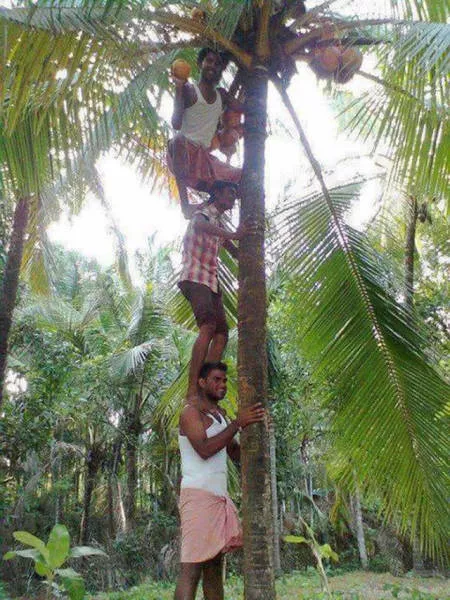 Successful teamwork in action - #15 