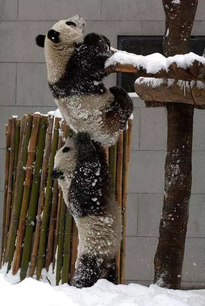 Successful teamwork in action - #19 