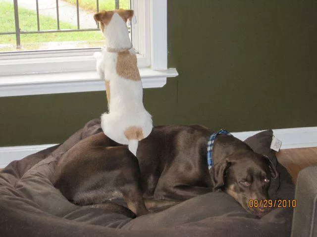 Successful teamwork in action - #30 