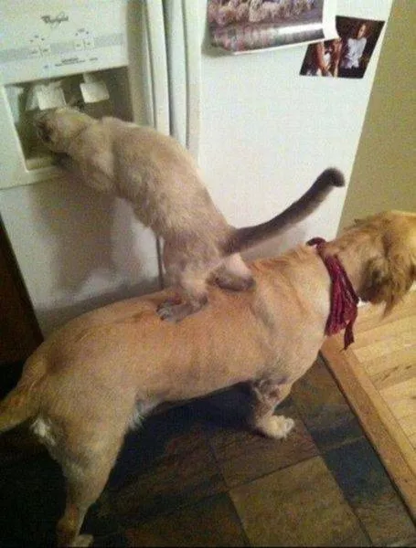 Successful teamwork in action - #33 