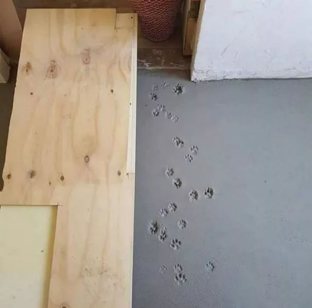 Picdump 225 - #37 