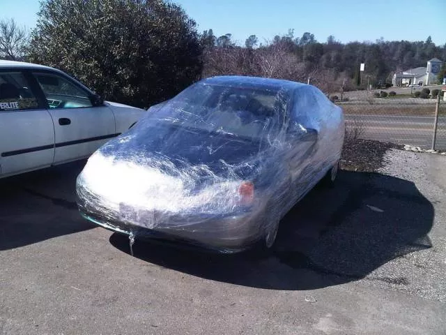 Picdump 225 - #7 