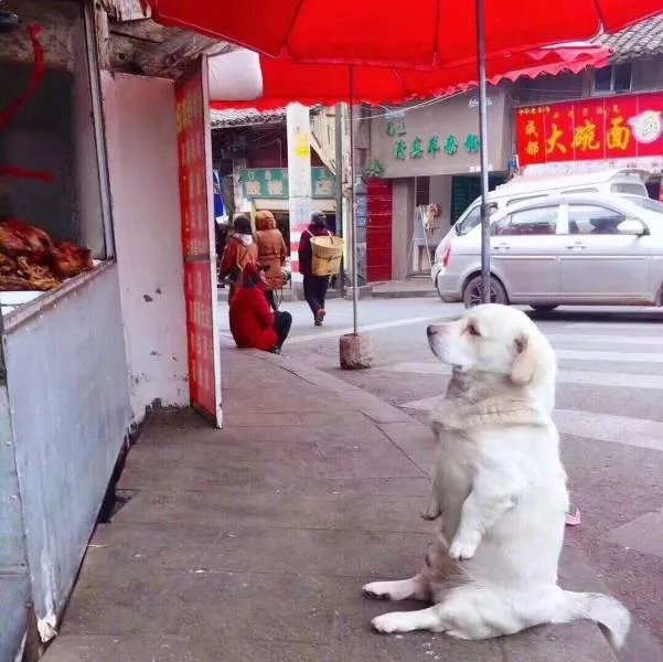Picdump 226 - #3 