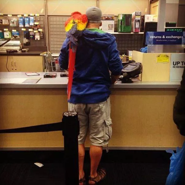 Picdump 226 - #38 