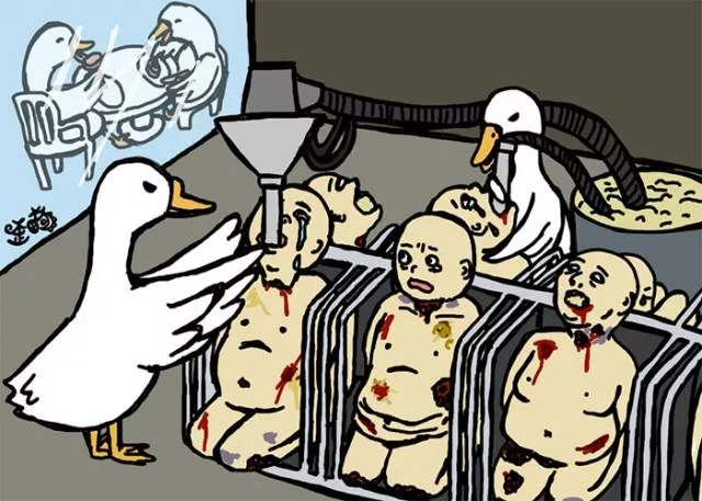 When animals torture humans - #12 