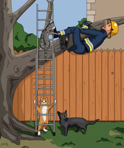 When animals torture humans - #22 