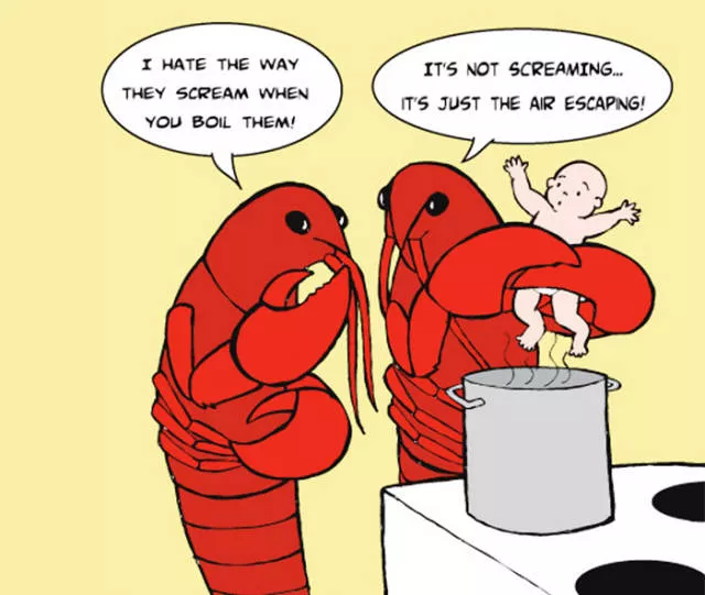 When animals torture humans - #26 