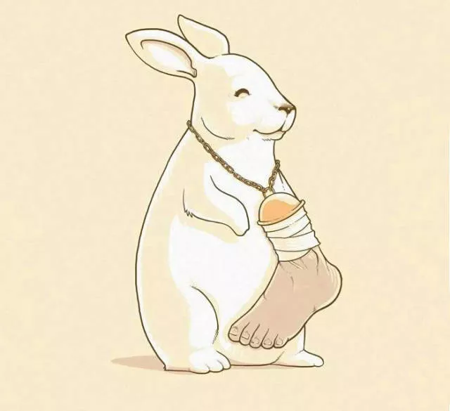 When animals torture humans - #28 