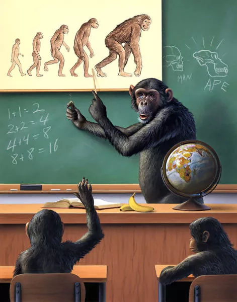 When animals torture humans - #32 