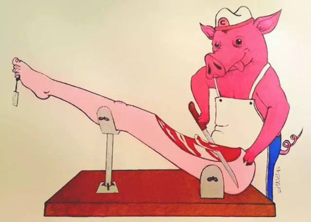 When animals torture humans - #36 