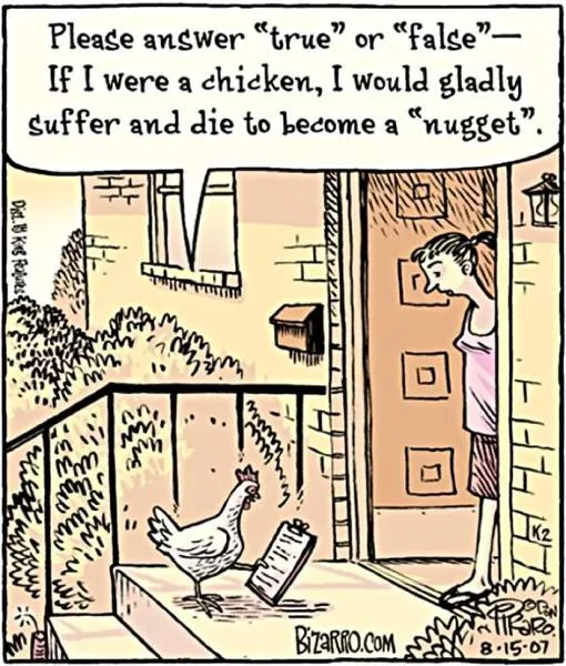 When animals torture humans - #4 