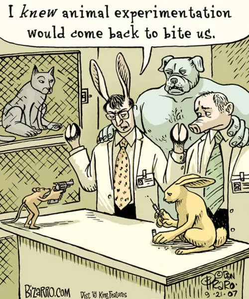 When animals torture humans - #6 