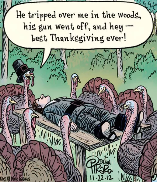 When animals torture humans - #8 