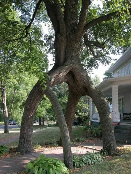 Picdump 48 - #23 