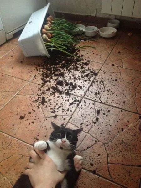 Picdump 48