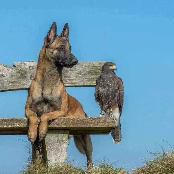 Picdump 48 - #35 
