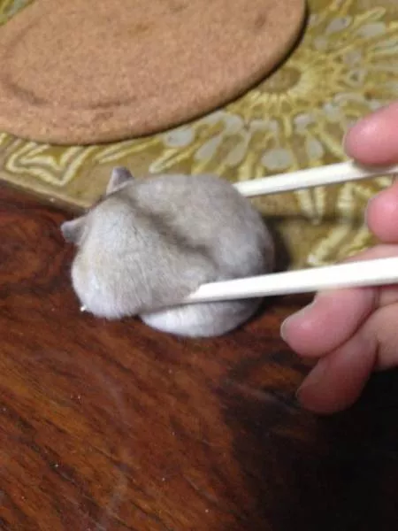 Picdump 48 - #39 