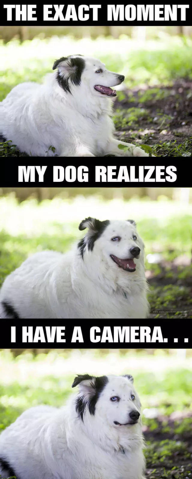 Picdump 48 - #4 