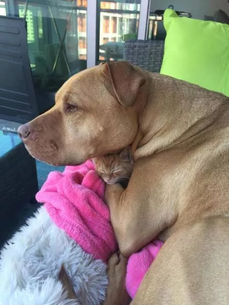 Picdump 48 - #63 