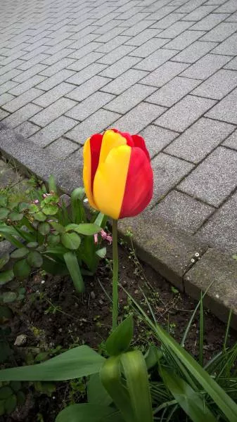 Picdump 48 - #72 