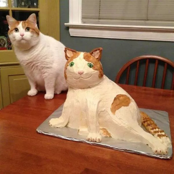 Nailed it food fail