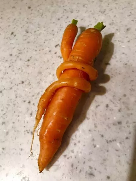 We do not see these things every day - #14 