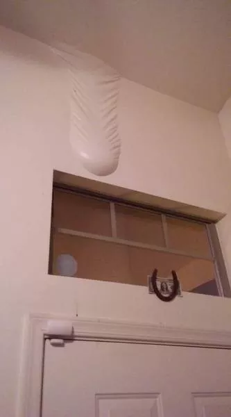 We do not see these things every day - #26 